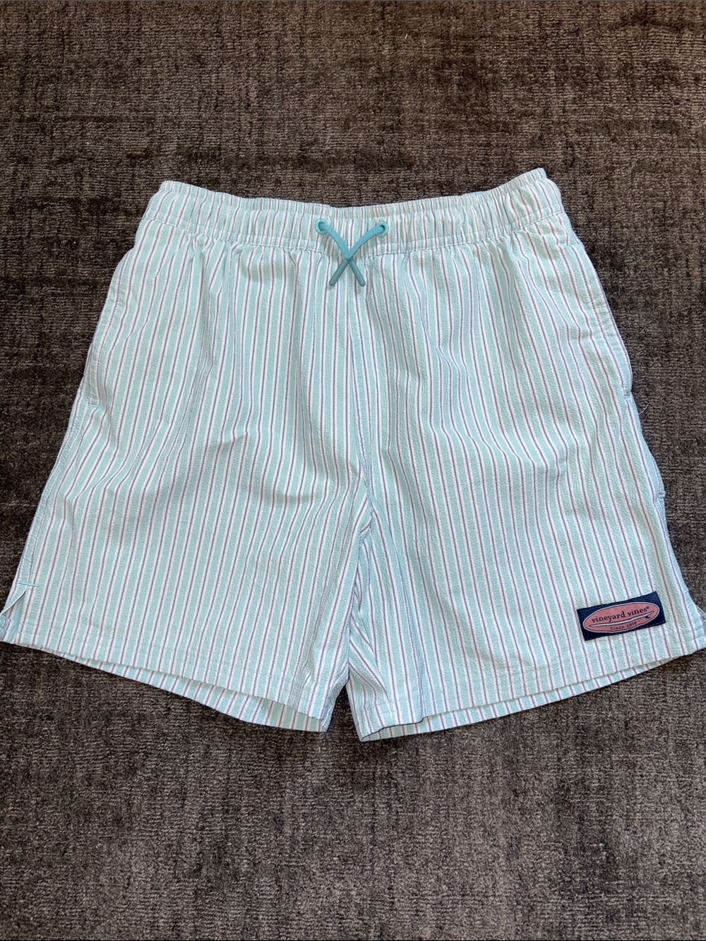 Vineyard Vines Boys Aqua and White Pinstripe Swim Trunks
